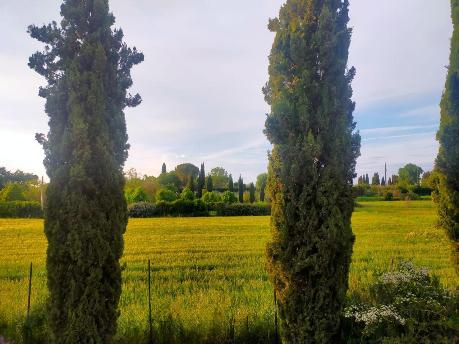 Villetta Con Parco Vicino San Gimignano Colle Val D'Elsa Esterno foto